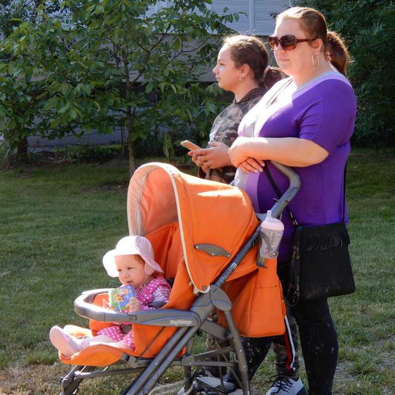 Életfa ültetés a város napján 11